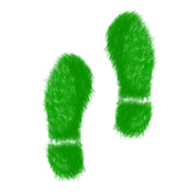 pixabay